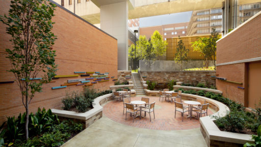The Healing Garden