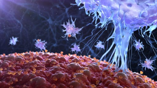 immune cell