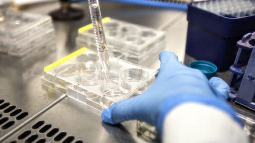 Vaccine Targets