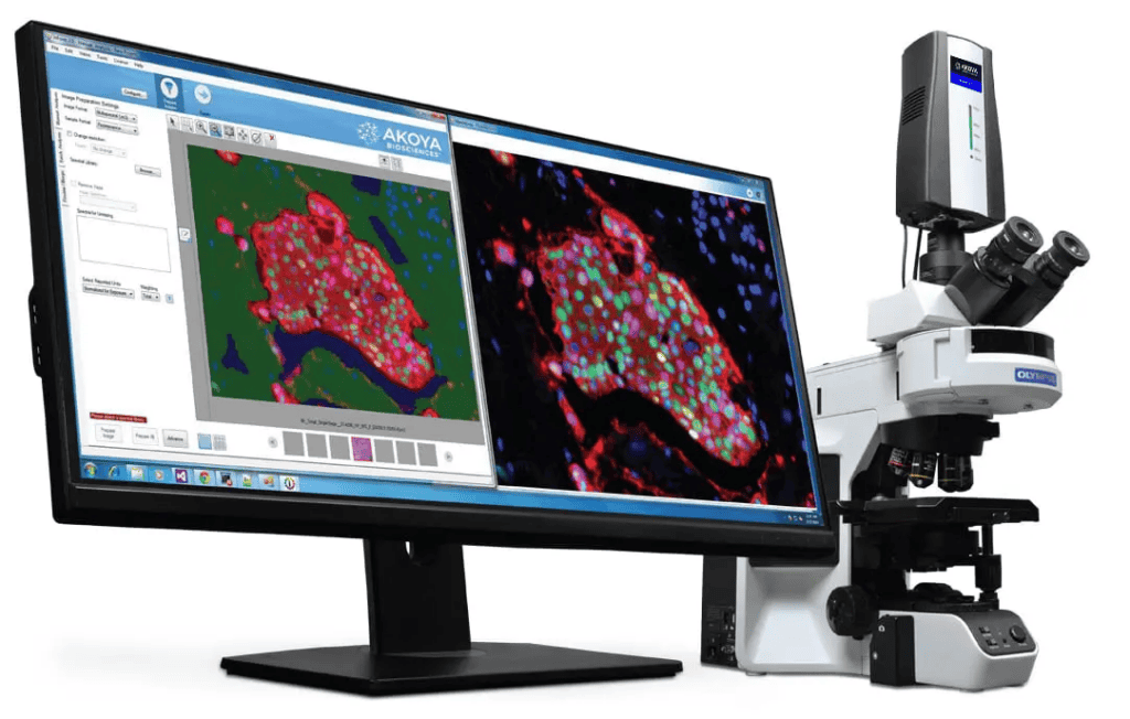 Phenoptics™ analysis is available using the Mantra™ Quantitative Pathology Workstation