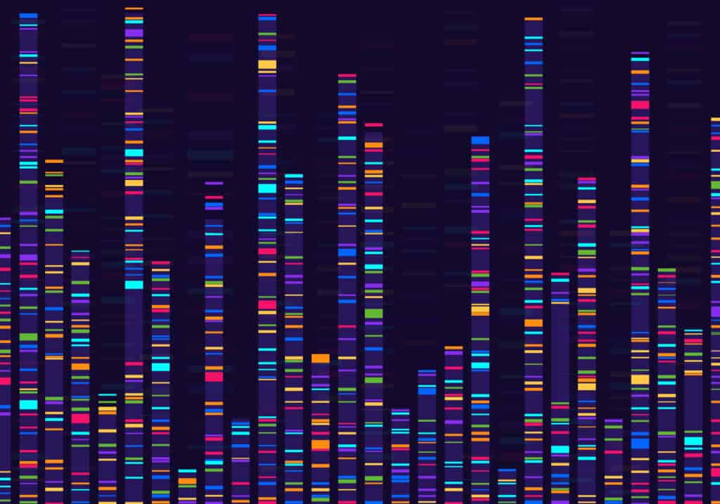 Genomic data visualization. Gene mapping, dna sequencing, genome barcoding, genetic marker map analysis infographic vector concept. Medical chromosome research, laboratory of microbiology